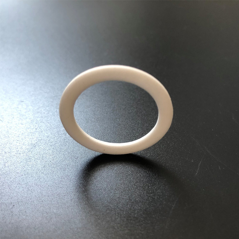 Alumina Ceramic Rings