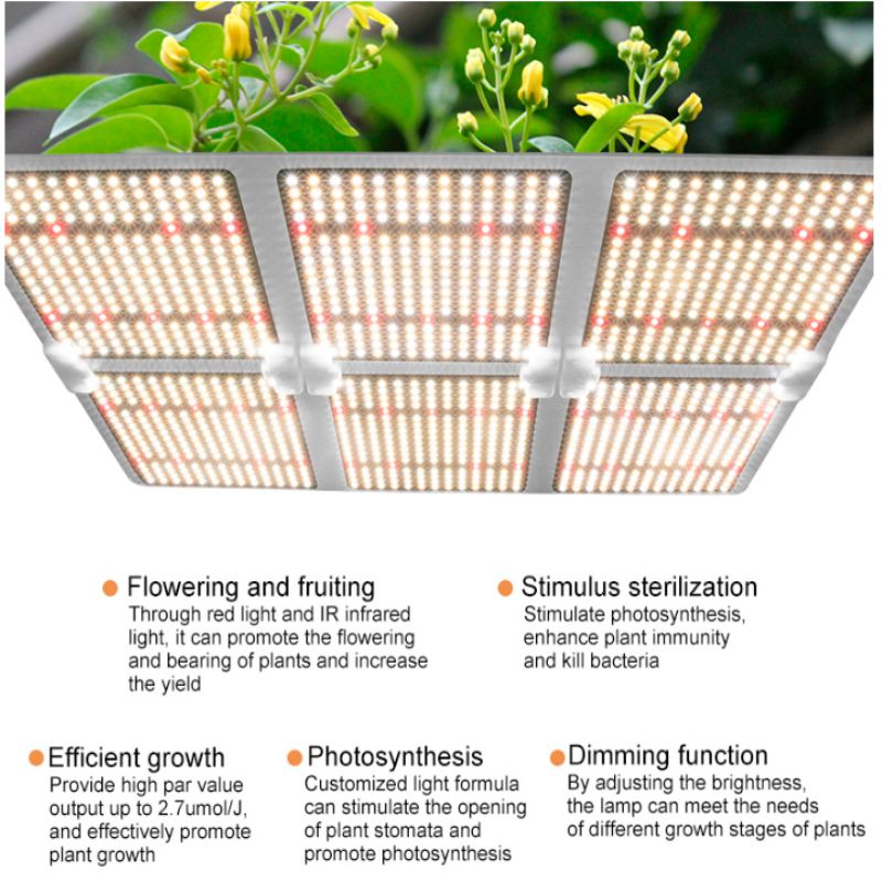 640W Quantum board LED Grow Light