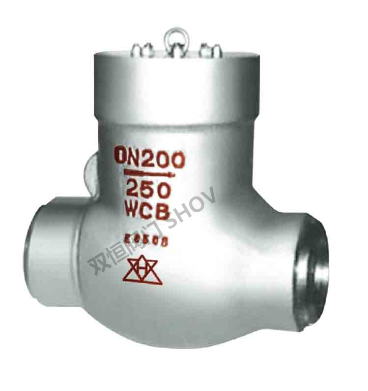 Cast Steel Swing Check Valve