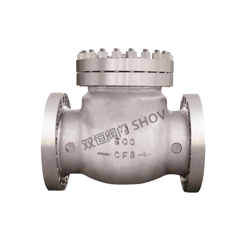 API 594 Dual Plate Check Valve