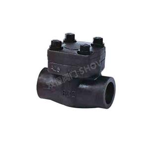 API 602 Forged Steel Check Valve