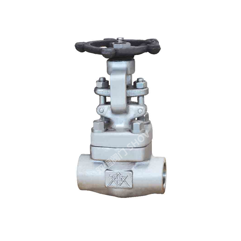 API 602 Forged Steel Gate Valve