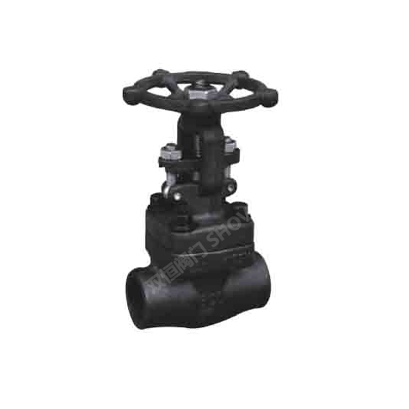 API 602 Forged Steel Gate Valve