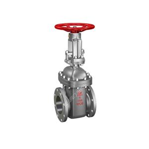 API 600 Double Disc Gate Valve