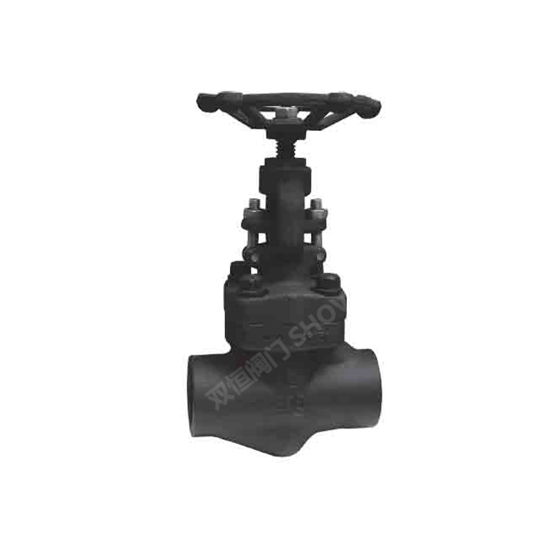 API 602 Forged Steel Globe Valve