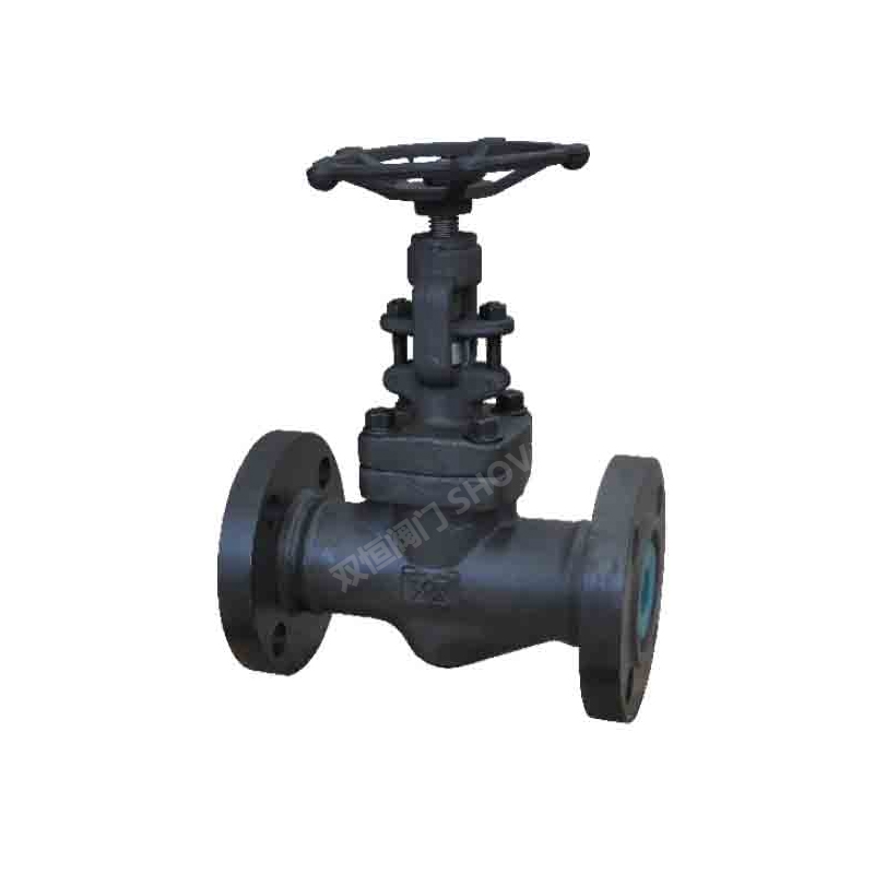 API 602 Forged Steel Globe Valve