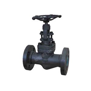 API 602 Forged Steel Globe Valve