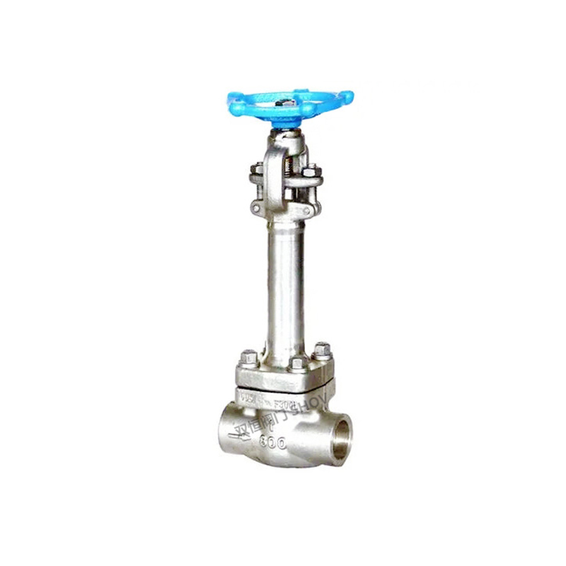 Cryogenic Globe Valve