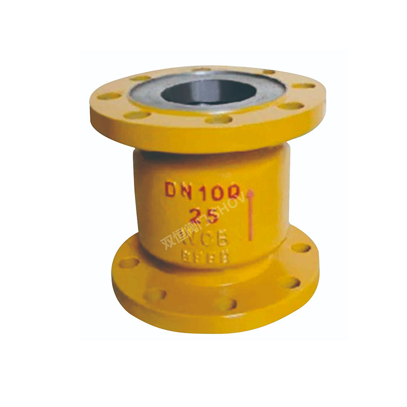 API 603 Corrosion Resistant Check Valve