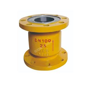 API 603 Corrosion Resistant Check Valve