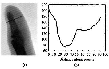 Fingerabdruck-Identifikation basierend auf Fiber Optic Taper
