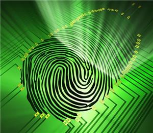 Los productos de HONSUN tienen potencial en muchas aplicaciones