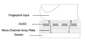 언더스크린 생체인식에 적용된 광학 마이크로채널 어레이 플레이트