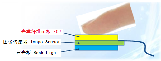 Base scanner per impronte digitali e impronte palmari su piastra in fibra ottica