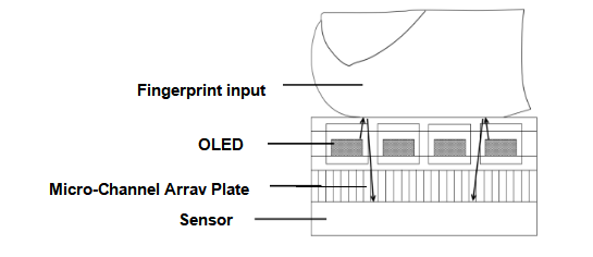 Fiber Optic Plate