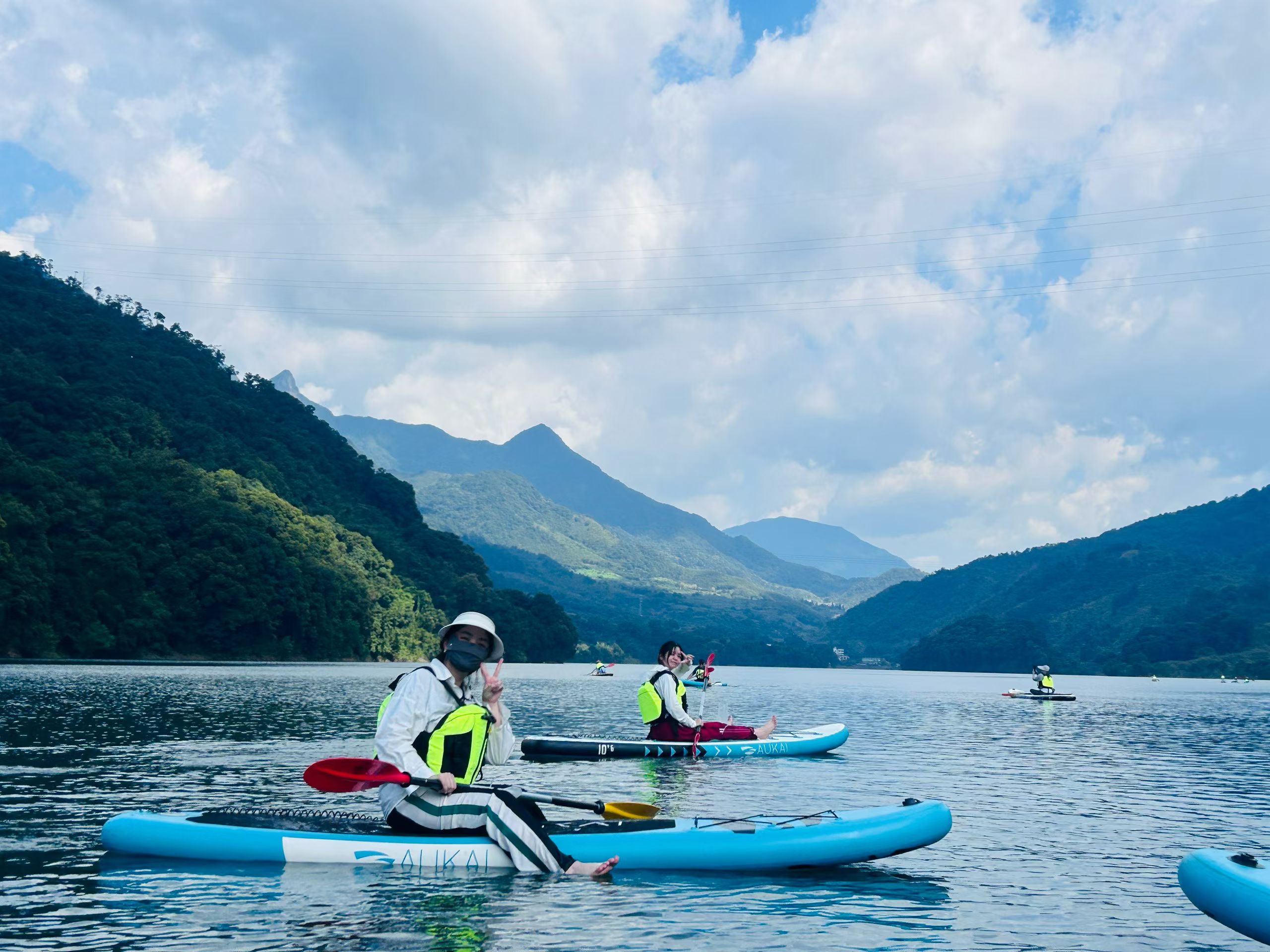 Fiber Optic Plate Fiber Optic Plate