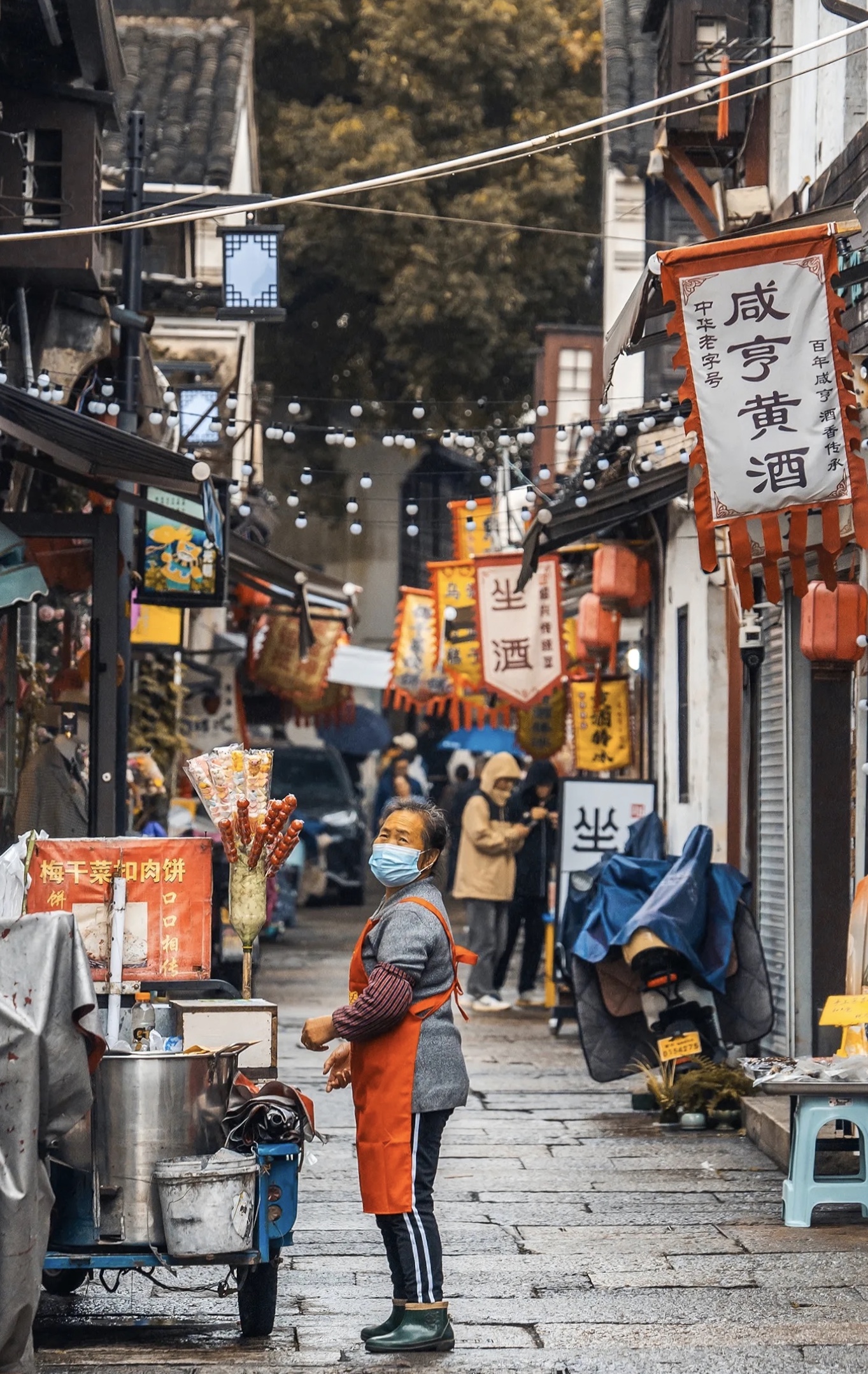 Fiber Optic Inverter