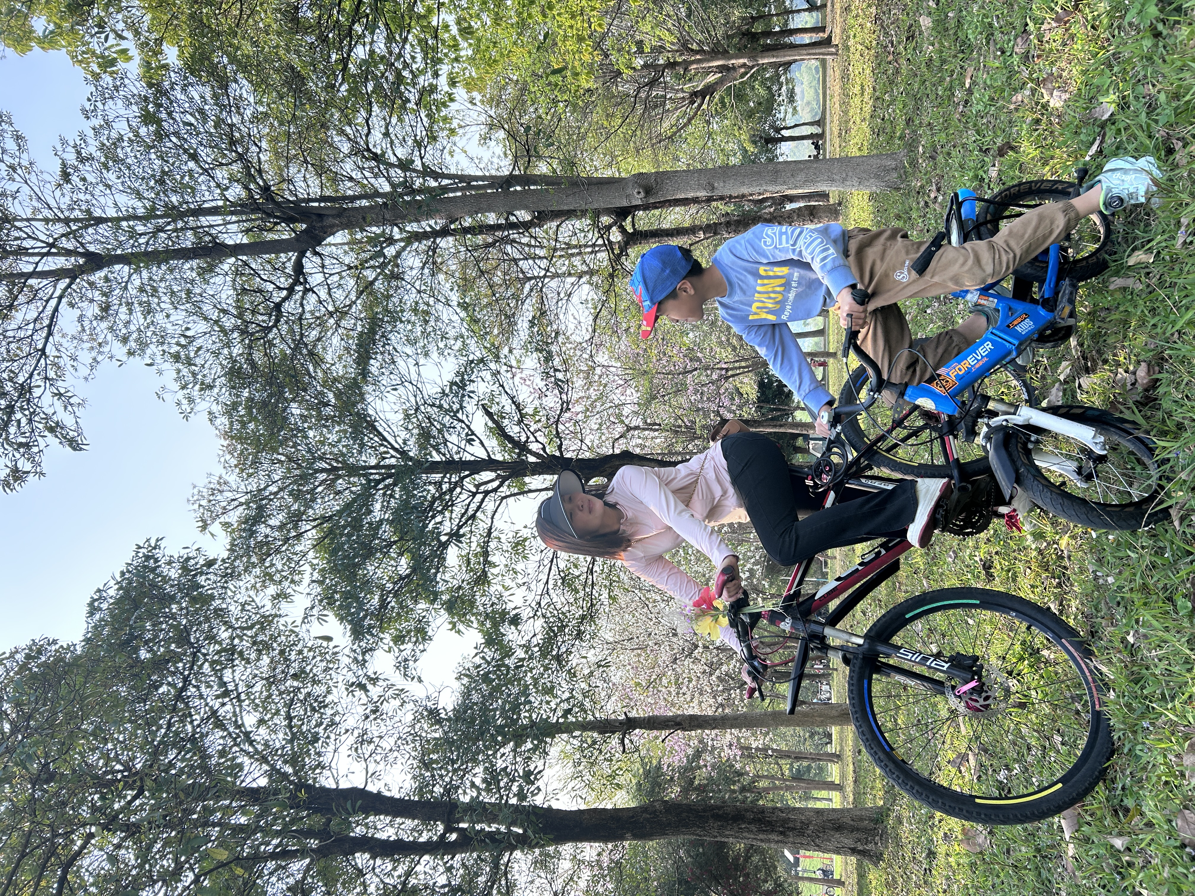 Fiber Optic Plate Fiber Optic Plate