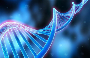Fiber Optic Plate Applied In Gene Sequencing