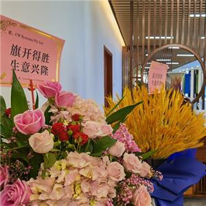 Der Showroom und das Büro von SUNLEVER ziehen in ein größeres Haus um