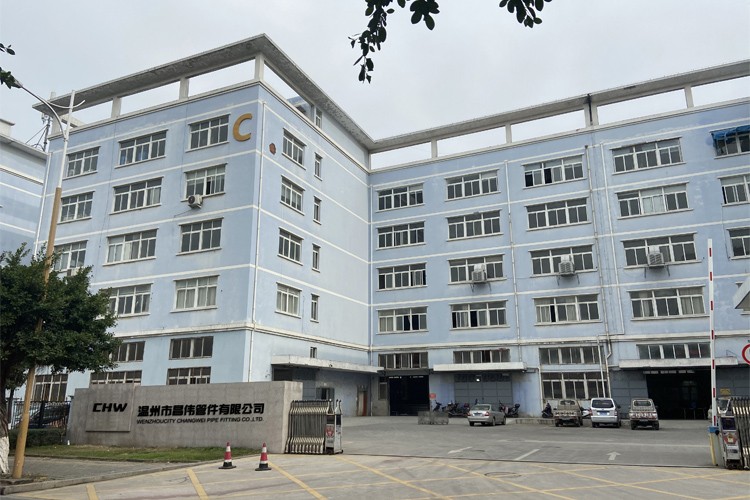 Sanitary stainless steel high quality Filter Y Type