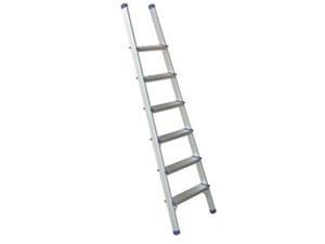 Single Ladder With EN-131