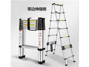 Double Telecopic Ladder