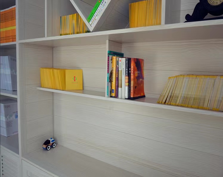 Aluminum Alloy Book Cabinet