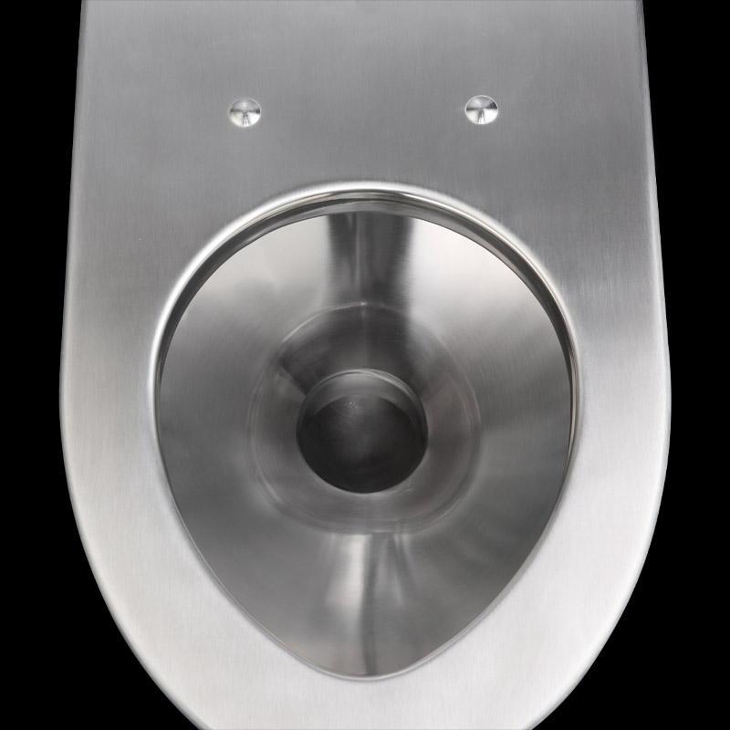 WC sospeso in acciaio inossidabile da 550 mm