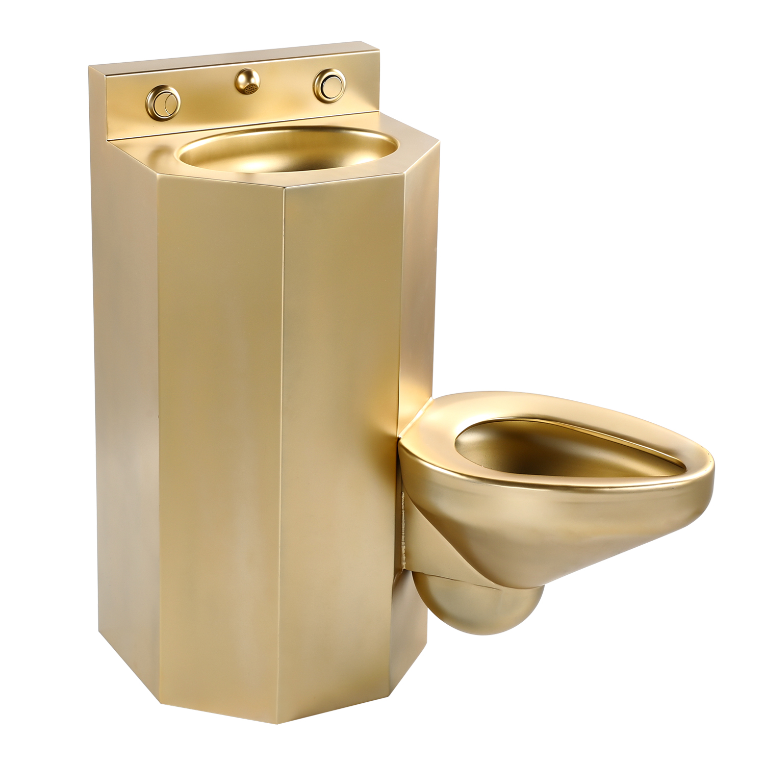 Supply Golden Stainless Steel Combination Toilet Wholesale Factory