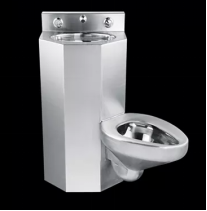 Stainless steel combination toilet