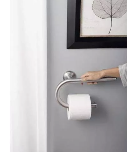 Chrome Stainless Steel Grab Bar with Integrated Toilet Paper Holder