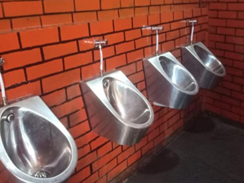 Indonesia Passenger Ship Project