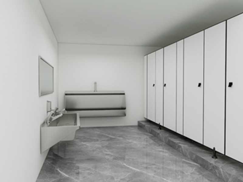 Domestic Primary School Toilet Projects