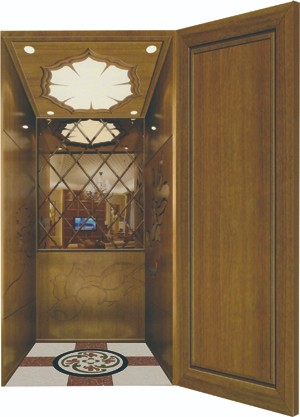 High-end Residential Villa Elevator