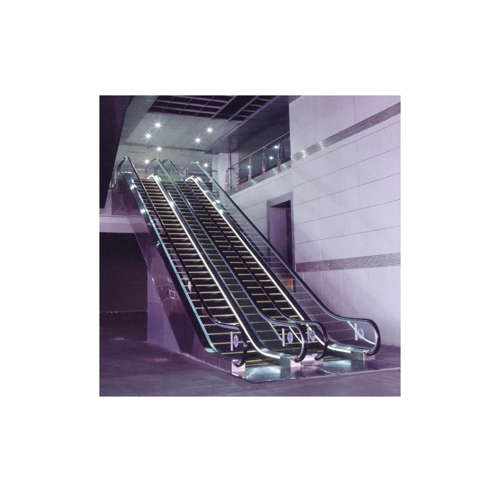 (EN115) Escalator product Professional elegant FUJIZY manufacture /Escalator price of japan technology