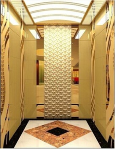 Passenger Elevator Custom-made Lift For Hourse Luxury Type