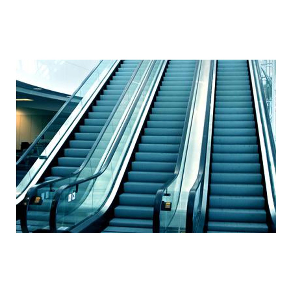 fuji elevator China best price commercial indoor home escalator for mall