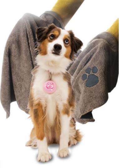 Monogrammed Embroidered Pet Towel For Dog