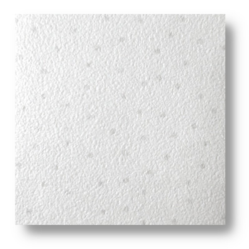 HEALTHGUARDER Clean room Ceiling Tile