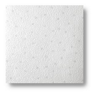 HEALTHGUARDER Clean room Ceiling Tile