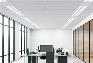 Professional Ceiling Solutions for Various Industries