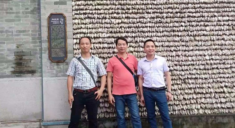 越南Woodsland蜂窩壓制機生產線