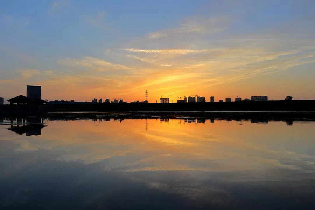 Ang industriya ng pagpoproseso ng plate sa Dongming County, Heze, Shandong Province ay lumitaw