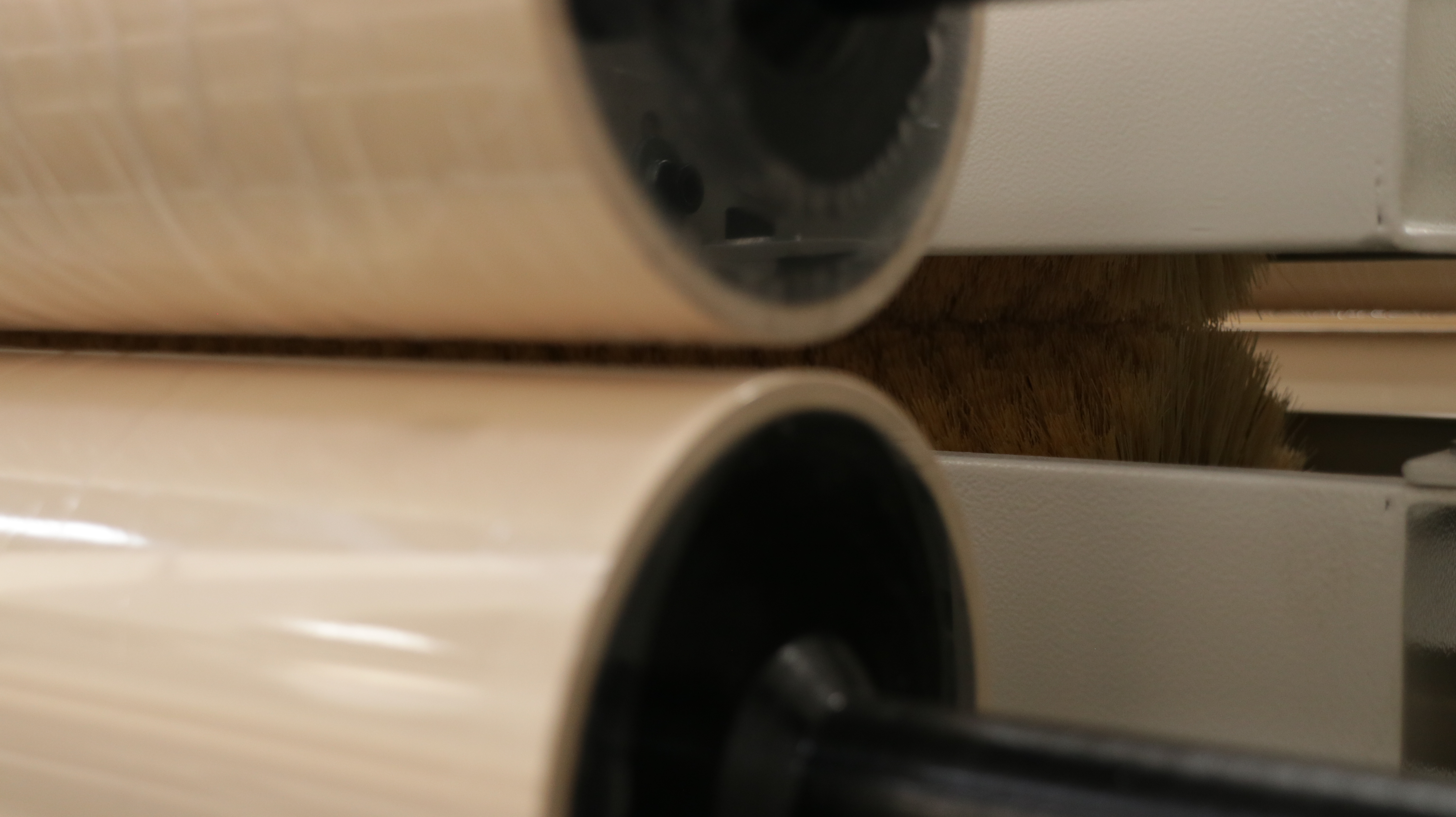 Sisal brush dust remover
