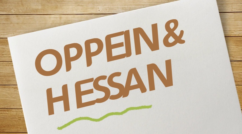 Warum heißt es, OPPEIN biete Komplettlösungen für die Hausindividualisierung an, die wahre Qualität liege aber beim Hersteller?