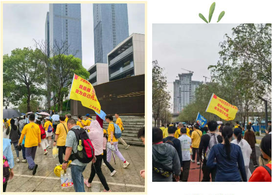 WiFi7 Antenna WiFi7 Antenna