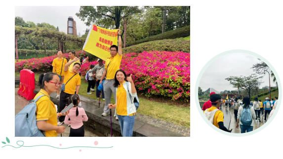 WiFi7 Antenna WiFi7 Antenna