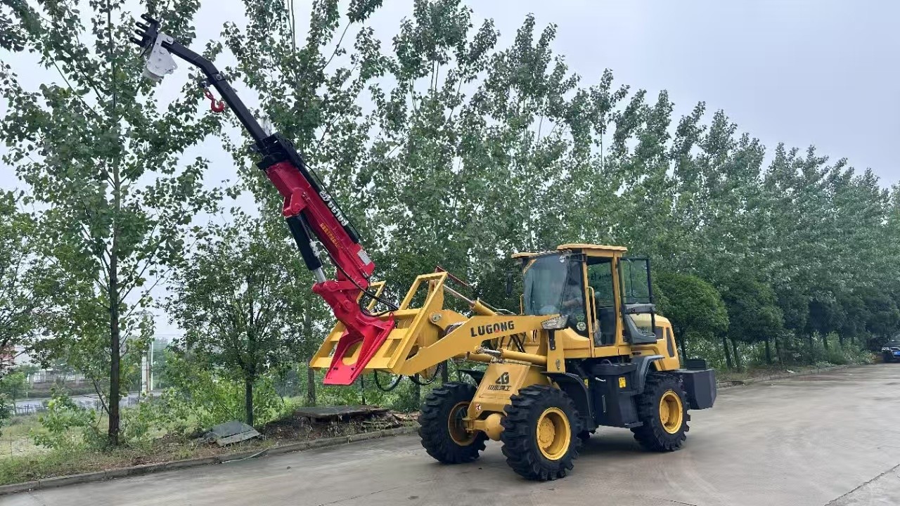 Telescopic Forklift Crane