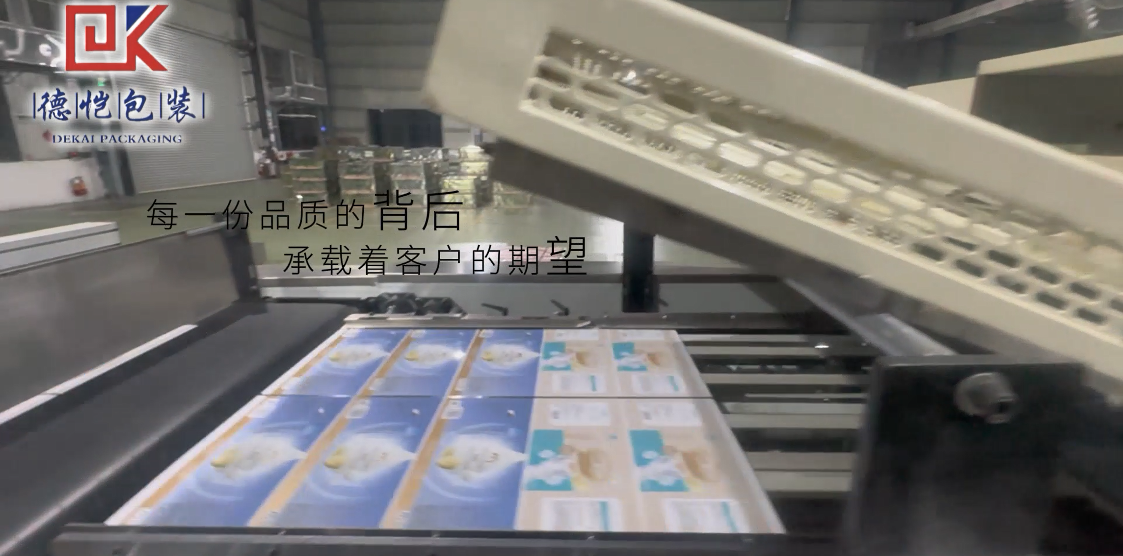 Camera inspection machine